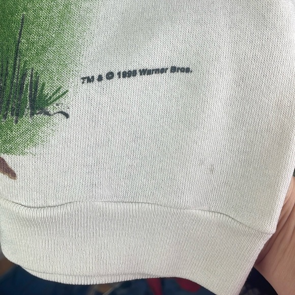 Warner Bros. Vintage 90s Taz Sweatshirt by Freeze Plaid Hunter - Picture 3 of 15